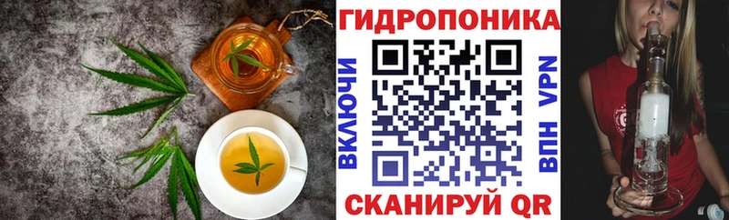 Купить где  Арзамас  Cannafood конопля 